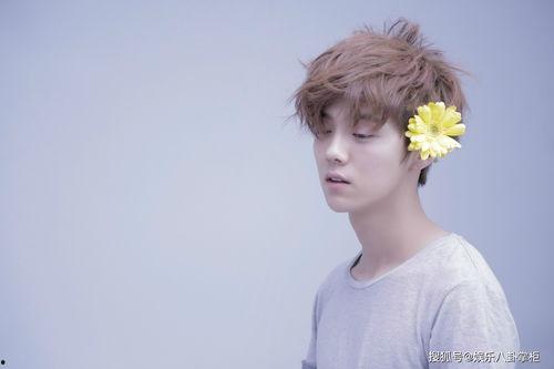 鹿晗小天后爆料视频播放,视频播放背后的故事揭秘