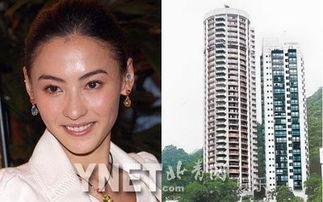 张柏芝赵薇爆料视频,揭秘娱乐圈不为人知的一面